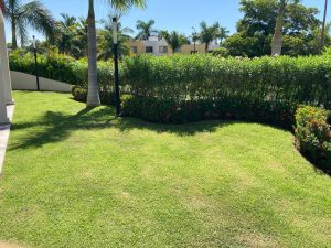 Imagen de WhatsApp 2025-06-11 a las 12.27.06_9d256d83