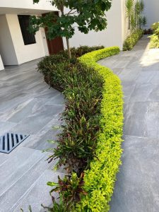 Imagen de WhatsApp 2025-06-11 a las 12.27.06_a5f466f0