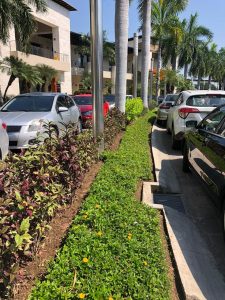 Imagen de WhatsApp 2025-06-11 a las 12.34.30_6a047beb