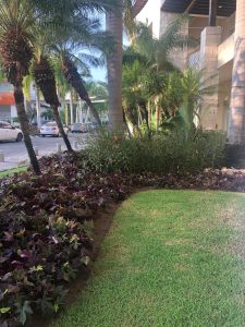 Imagen de WhatsApp 2025-06-11 a las 12.34.30_777c0fd9