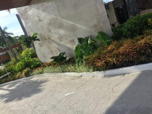 Imagen de WhatsApp 2025-06-11 a las 12.35.58_6e400fb5