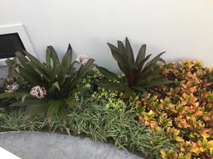 Imagen de WhatsApp 2025-06-11 a las 12.35.58_e25ad1dd