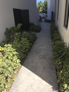 Imagen de WhatsApp 2025-06-11 a las 12.49.45_8a3bd0f2