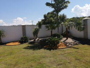 Imagen de WhatsApp 2025-06-11 a las 12.55.20_87daebb7