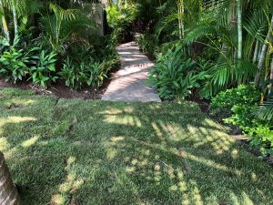 Imagen de WhatsApp 2025-06-11 a las 12.56.29_d2ce0a0b