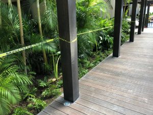 Imagen de WhatsApp 2025-06-11 a las 12.56.31_bafb08fe