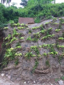 Imagen de WhatsApp 2025-06-11 a las 13.00.31_1cee543d