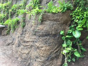 Imagen de WhatsApp 2025-06-11 a las 13.00.32_8711c10a