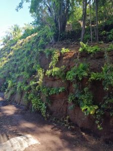 Imagen de WhatsApp 2025-06-11 a las 13.01.27_23702b05