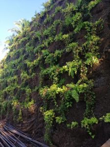 Imagen de WhatsApp 2025-06-11 a las 13.01.27_759a8cf6