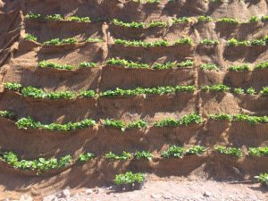 Imagen de WhatsApp 2025-06-11 a las 13.18.41_bf5dcb7d