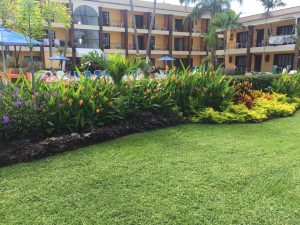 Imagen de WhatsApp 2025-06-11 a las 13.22.19_bf12a1bf