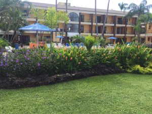 Imagen de WhatsApp 2025-06-11 a las 13.22.20_467e2a6e