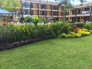 Imagen de WhatsApp 2025-06-11 a las 13.22.20_4ba2a186