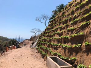 Imagen de WhatsApp 2025-06-11 a las 13.25.05_cd7a8a82